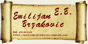 Emilijan Brzaković vizit kartica